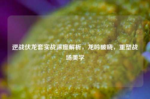 逆战伏龙套实战深度解析，龙吟破晓，重塑战场美学