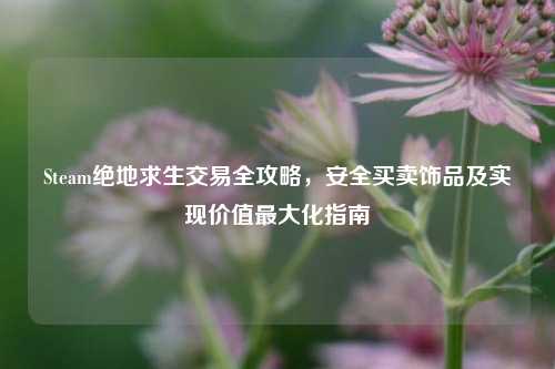 Steam绝地求生交易全攻略，安全买卖饰品及实现价值最大化指南