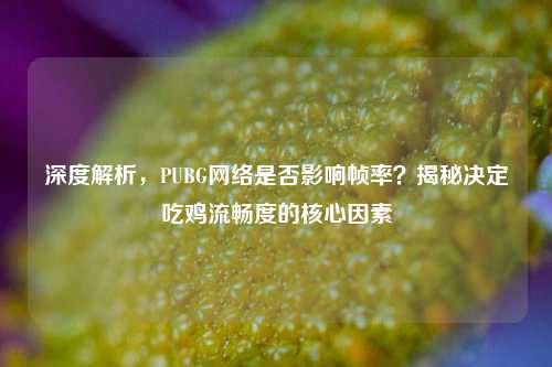 深度解析，PUBG网络是否影响帧率？揭秘决定吃鸡流畅度的核心因素