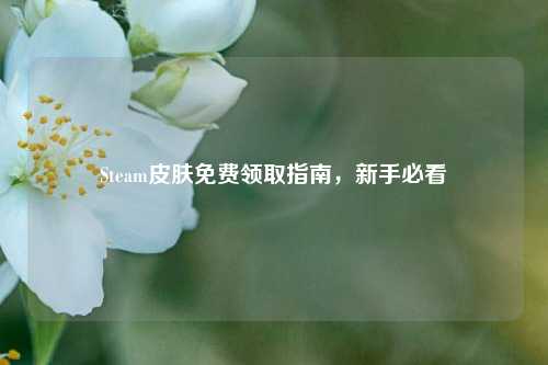 Steam皮肤免费领取指南，新手必看