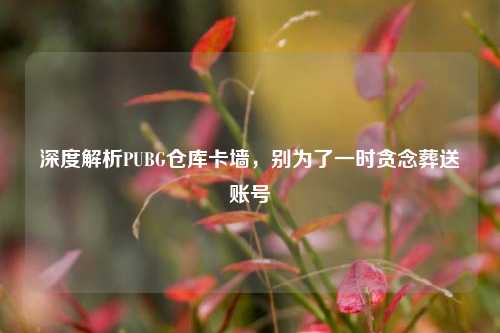 深度解析PUBG仓库卡墙，别为了一时贪念葬送账号