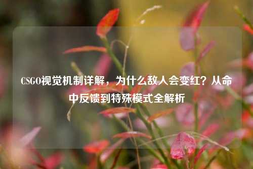CSGO视觉机制详解，为什么敌人会变红？从命中反馈到特殊模式全解析