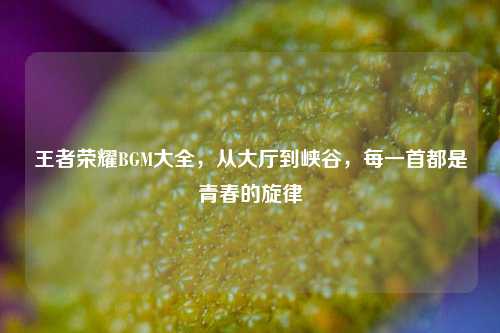 王者荣耀BGM大全，从大厅到峡谷，每一首都是青春的旋律