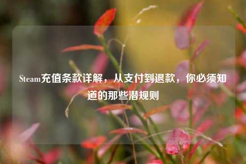 Steam充值条款详解，从支付到退款，你必须知道的那些潜规则