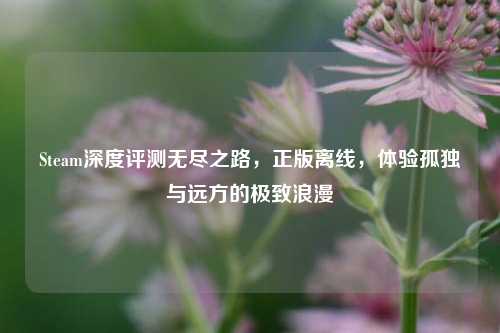 Steam深度评测无尽之路，正版离线，体验孤独与远方的极致浪漫