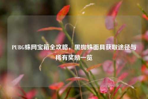 PUBG蛛网宝箱全攻略，黑蜘蛛面具获取途径与稀有奖励一览