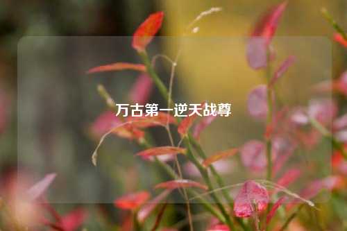 万古第一逆天战尊