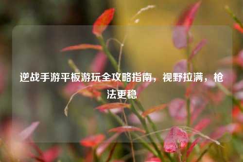 逆战手游平板游玩全攻略指南，视野拉满，枪法更稳