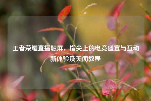 王者荣耀直播触屏，指尖上的电竞盛宴与互动新体验及关闭教程