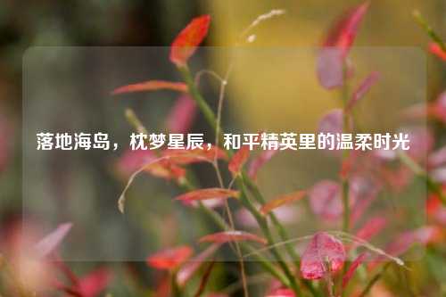 落地海岛，枕梦星辰，和平精英里的温柔时光