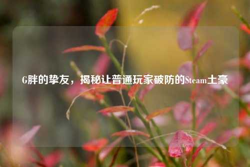 G胖的挚友，揭秘让普通玩家破防的Steam土豪