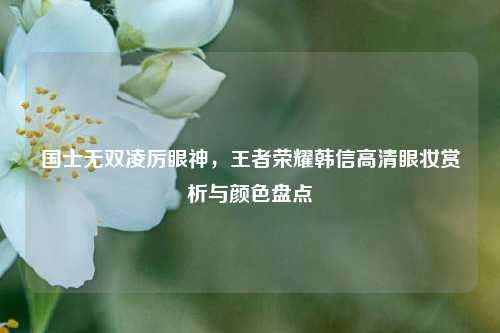 国士无双凌厉眼神，王者荣耀韩信高清眼妆赏析与颜色盘点
