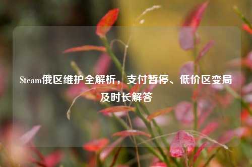 Steam俄区维护全解析，支付暂停、低价区变局及时长解答
