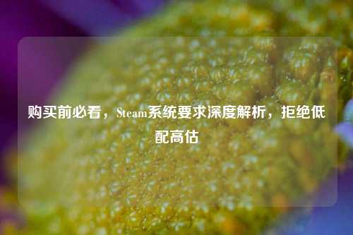 购买前必看，Steam系统要求深度解析，拒绝低配高估