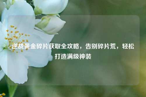 逆战黄金碎片获取全攻略，告别碎片荒，轻松打造满级神装